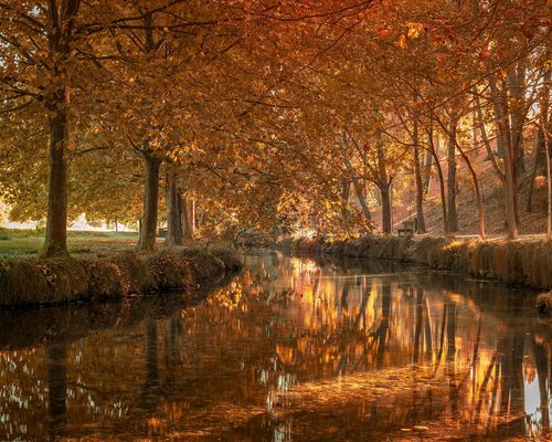 Organizarea biroului de acasă pentru confort vizual